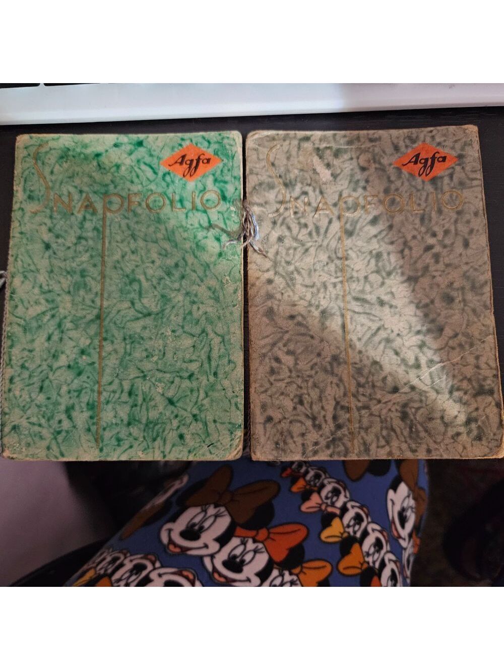 Antique 1920 to 1960 Snapfolio book set of 2